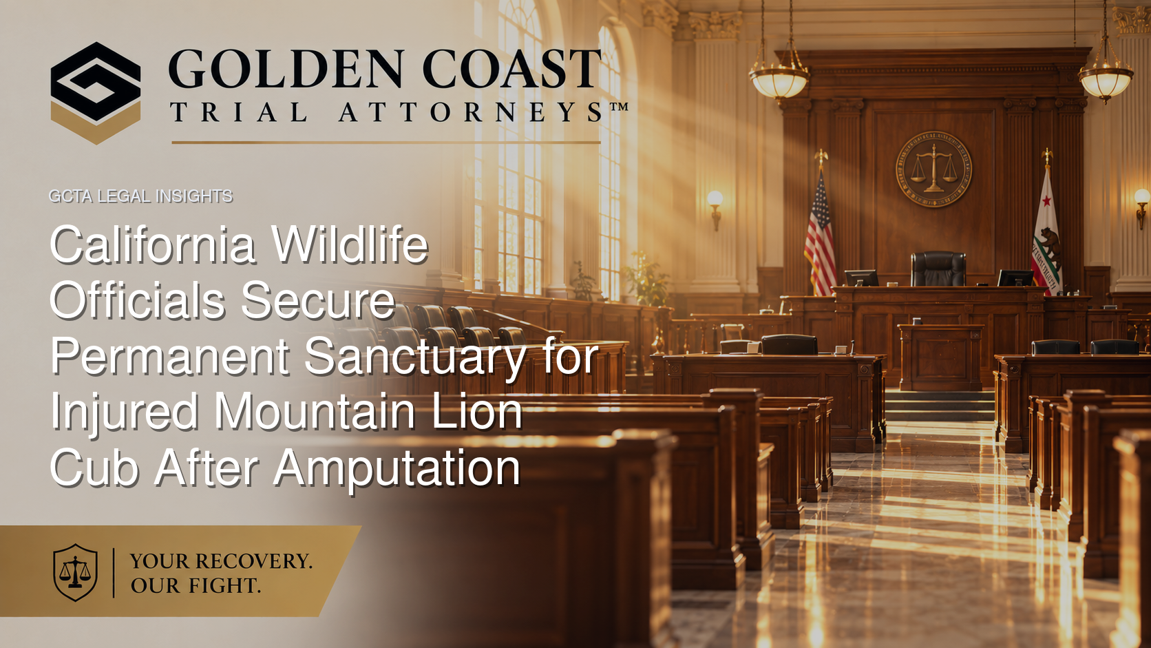 California Wildlife Officials Secure Permanent Sanctuary for Injured Mountain Lion Cub After Amputation